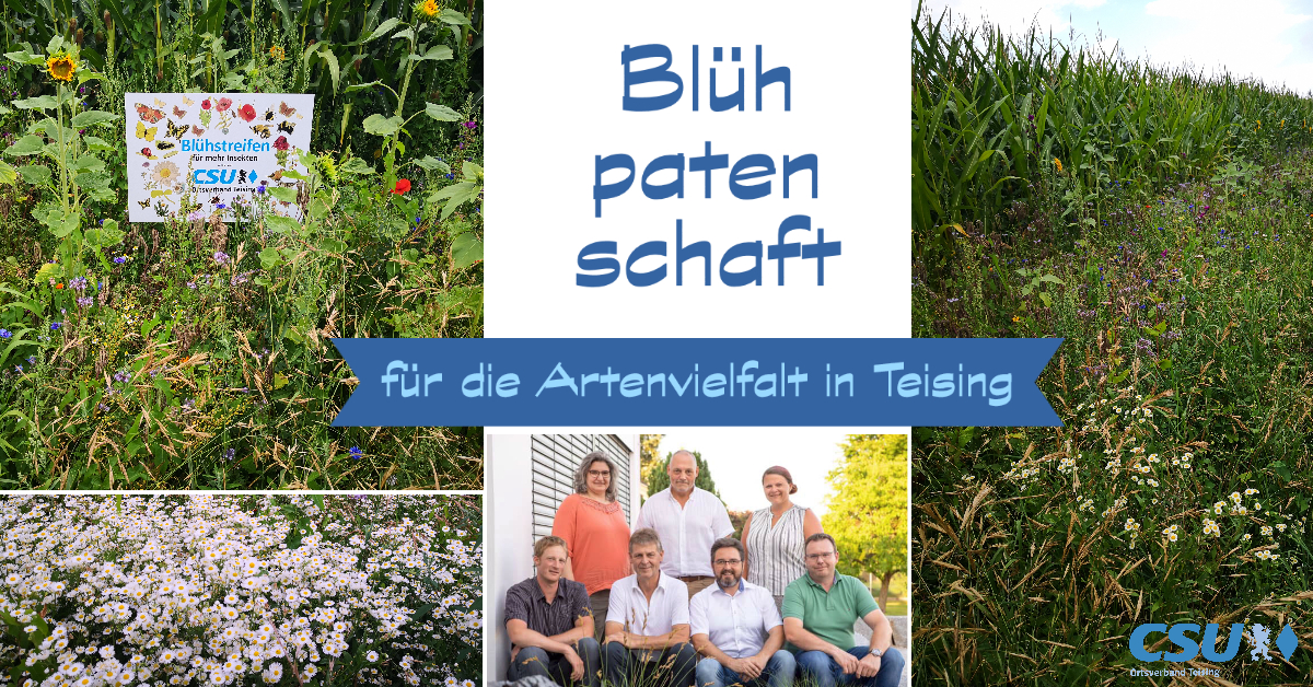 Read more about the article Blühpatenschaft des CSU-Ortsverbands Teising